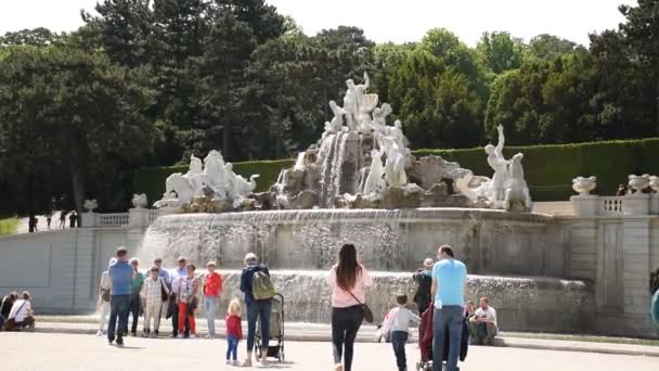 2019年6月1日奥地利维也纳 位于Schonbrunn Schloss Schnbrunn 的海王星喷泉中的巨马和众神 — 图库视频影像