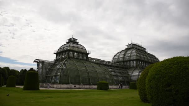 Juni 2019 Wien Österreich Seitenansicht Palmenhaus Schlossgarten Schönbrunn — Stockvideo