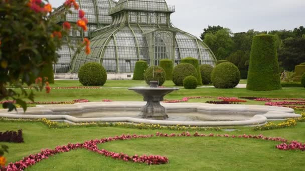 June 2019 Vienna Austria Small Beautiful Fountain Palm House Schonbrunn — Stock Video