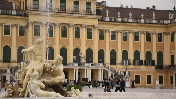 2019年6月1日奥地利维也纳 Schonbrunn Baroque Schloss Schnbrunn 喷泉中美丽的仙女 — 图库视频影像