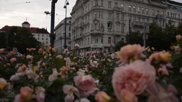 Junho 2019 Viena Áustria Viena Mitte Ruas Centrais Com Edifícios — Vídeo de Stock