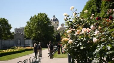 Avusturya 'nın başkenti Viyana' da, Rosengarten 'da bahar günü muhteşem bir gül galerisi.