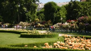 Avusturya, Viyana 'da Rosengarten' deki Gül Çalıları Galerisi (Volksgarten)