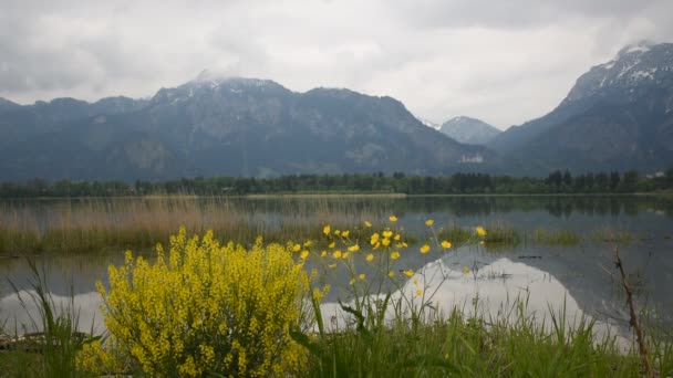 Malebný Výhled Bavorské Alpy Jezero Forggensee Hrad Neuschwanstein Daleko Útesu — Stock video