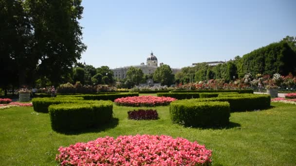 オーストリア ウィーンの中心部にある素晴らしいバラのギャラリー Rosengartenの春の日 — ストック動画