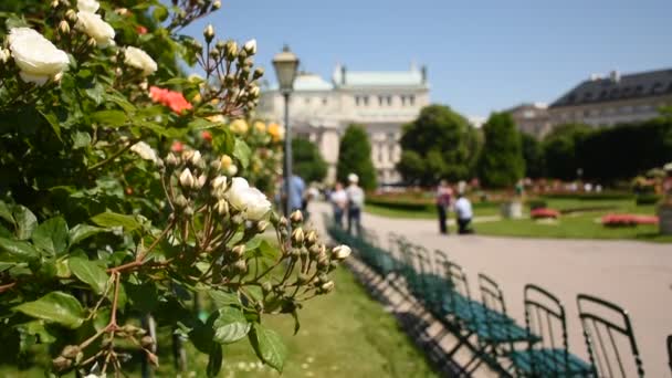 Vår Europa Rosengarten Ett Fantastiskt Rosengalleri Centrala Wien Österrike — Stockvideo