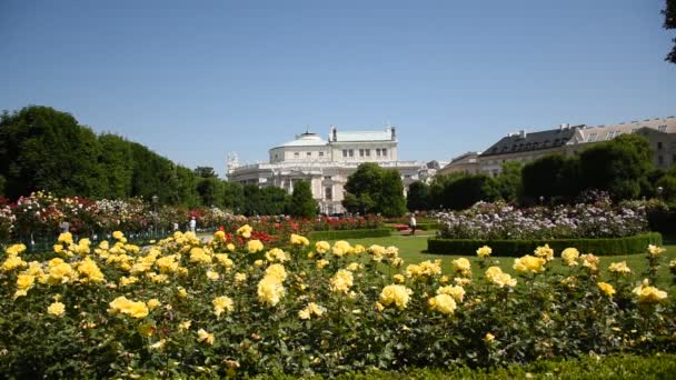 Frühlingstag Rosengarten Einer Erstaunlichen Rosengalerie Zentrum Von Wien Österreich — Stockvideo