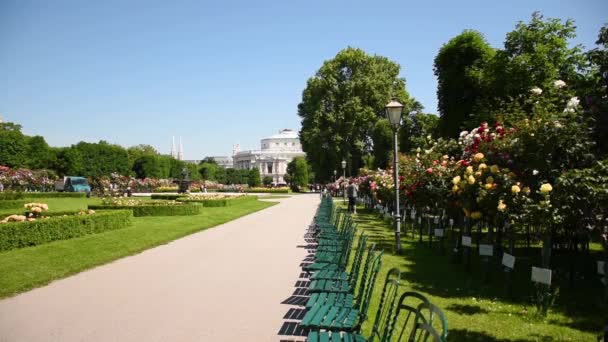 Roseiras Cadeiras Para Visitantes Rosengarten Volksgarten Vienna Áustria — Vídeo de Stock