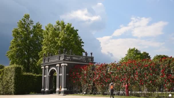 Rózsa Kerítés Drámai Esős Schonbrunn Schloss Schnbrunn Palota — Stock videók