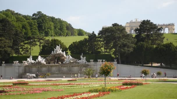 Glorieta Fuente Neptuno Schonbrunn Schloss Schnbrunn Día Soleado Viena — Vídeos de Stock