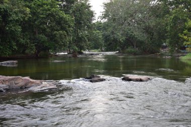 Hogennakal şelale gezisi