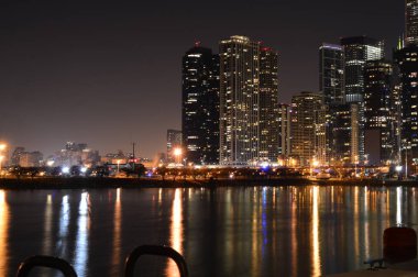 Chicago, Illinois - ABD - 31 Aralık 2016: Skyline Chicago'dan Navy Pier