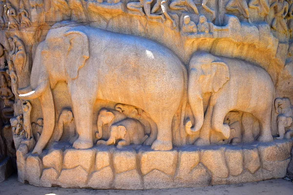Chennai Tamilnadu Ινδία Σεπτεμβρίου 2018 Βράχου Λαξευμένο Ελέφαντες Στην Πορτ — Φωτογραφία Αρχείου