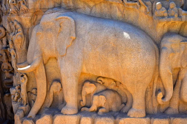 Chennai Tamilnadu Ινδία Σεπτεμβρίου 2018 Ελέφαντες Ροκ Στην Mamallapuram — Φωτογραφία Αρχείου