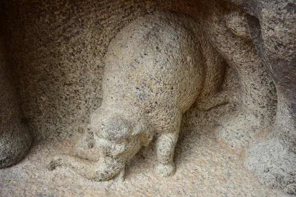 첸나이 Tamilnadu 2018 커트는 코끼리를 — 스톡 사진