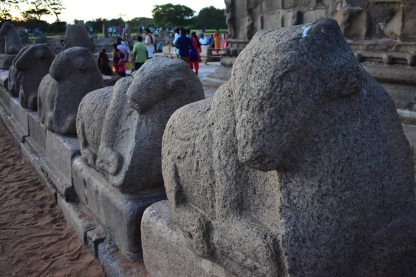 Chennai Tamilnadu India Szeptember 2018 Seashore Mahabalipuram Úti Templom — Stock Fotó