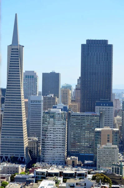 San Francisco, California, USA - August 31, 2015: San Francisco Skyline and Transamerica Pyramid from top of Coit Tower — Stock Photo, Image