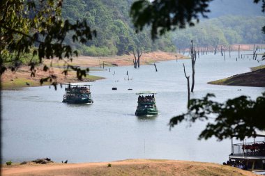 Periyar yaban hayatı kutsal thekkady