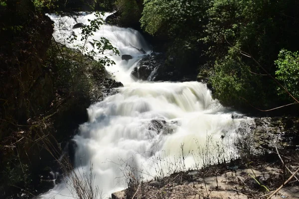 Kumily Thekkady için engebeli yolda Kumily şelaleler