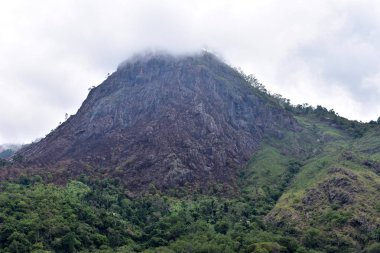 Kodaikanal Tepeleri'nden doğu ghats panoramik görünümü