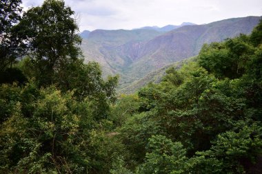 Kodaikanal Tepeleri'ndeki Rat Tail Falls manzarası