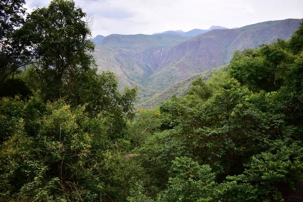 Beskåda av tjaller svan nedgångar i Kodaikanal kullar — Stockfoto