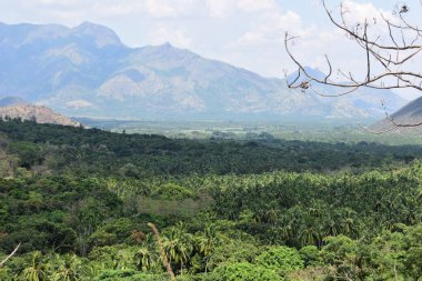 Kurangani Tamil Nadu 'da Batılı Ghatların Gizli Güzelliği