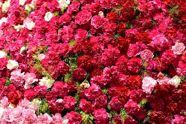 Jolies roses dans un mélange de fleurs rouges, blanches et roses — Photo