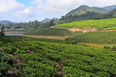 Meghamalai Yüksek Dalgalı Dağlar - Gizli Cennet