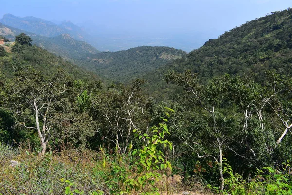 Blick auf das Cumbam-Tal von den Meghamalai-Hügeln in Tamil Nadu — Stockfoto