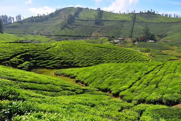 Meghamalai High Wavy Mountains - Le paradis caché — Photo