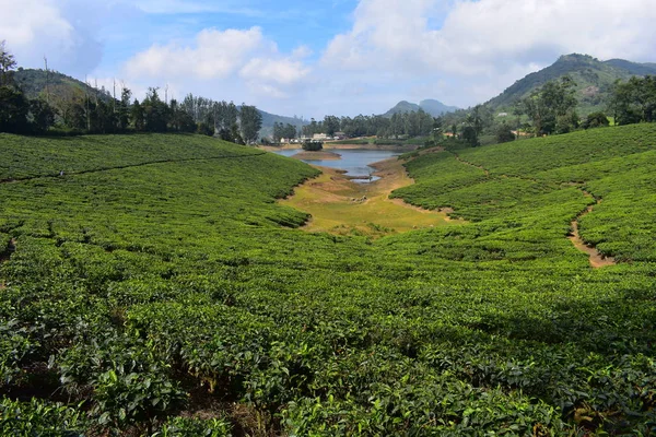 Fiume Meghamalai e alte montagne ondulate — Foto Stock