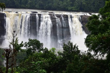 Kerala Hindistan 'a Su Şelalesi