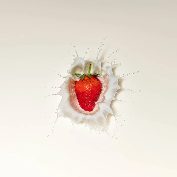 鲜红色草莓水果飞溅在白色牛奶和直接从上面看 图库图片