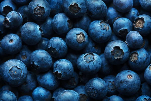 Blueberries Fundo Fotografado Partir Cima Textura Quadro Completo Imagens Royalty-Free