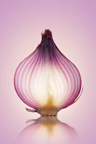反射ピンク紫色の背景にスライス赤玉ねぎの半透明レイヤーの美術料理イメージ — ストック写真