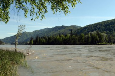  Dağ nehir Katun Güney Batı Sibirya