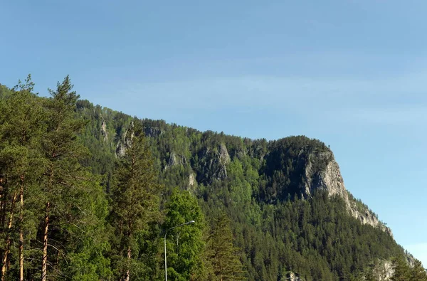 Paesaggio Montano Altai Siberia Occidentale — Foto Stock