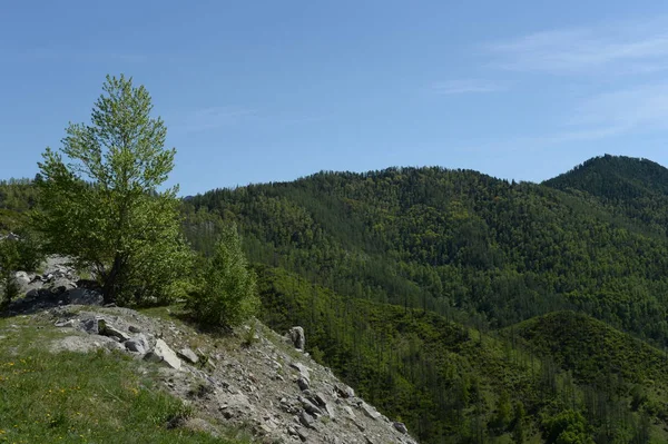  Dağ manzarası Chike-Taman geçişte. Dağ altay