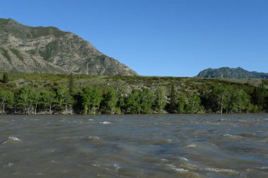  Dağ nehir Katun Güney Batı Sibirya