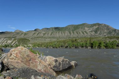  Dağ nehir Katun Güney Batı Sibirya