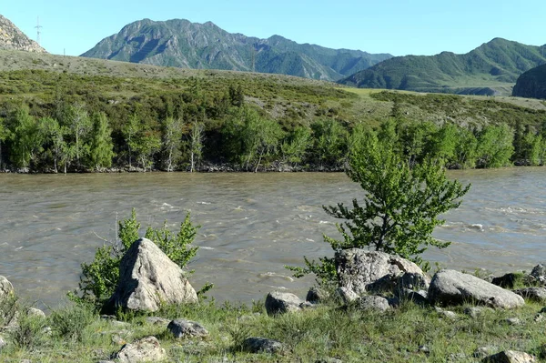 Montanha rio Katun no sul da Sibéria Ocidental — Fotografia de Stock