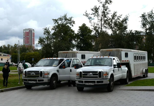 Coches-camionetas para el transporte de caballos en el centro de Moscú . — Foto de Stock