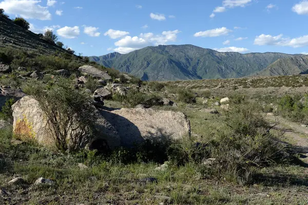 Bjerglandskab. Altai Republikken. Vestsibirien - Stock-foto