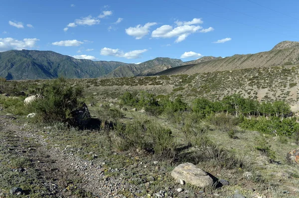 Paisaje de montaña. República de Altai. Siberia Occidental —  Fotos de Stock