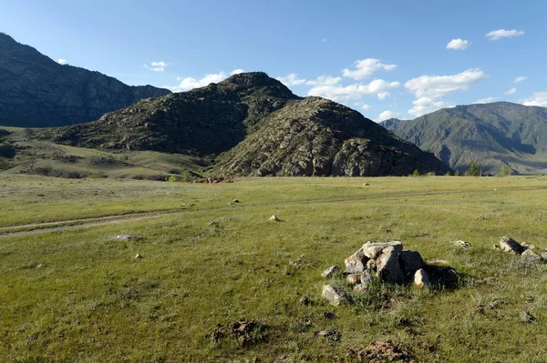 República Altai Rússia Junho 2018 Paisagem Montanhosa Área Rio Grande — Fotografia de Stock