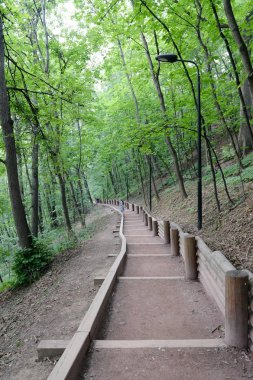  Moskova'da serçe tepelerde Park