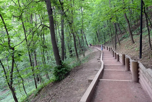  Moskova'da serçe tepelerde Park