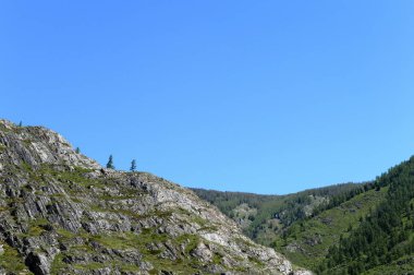  Chuysky yolu yakınındaki dağ manzarası. Altay Cumhuriyeti. Sibirya. Rusya