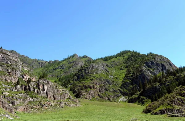 Chuysky 管の近くの山の風景。アルタイ共和国。シベリア。ロシア — ストック写真